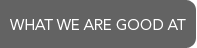what we are good at
